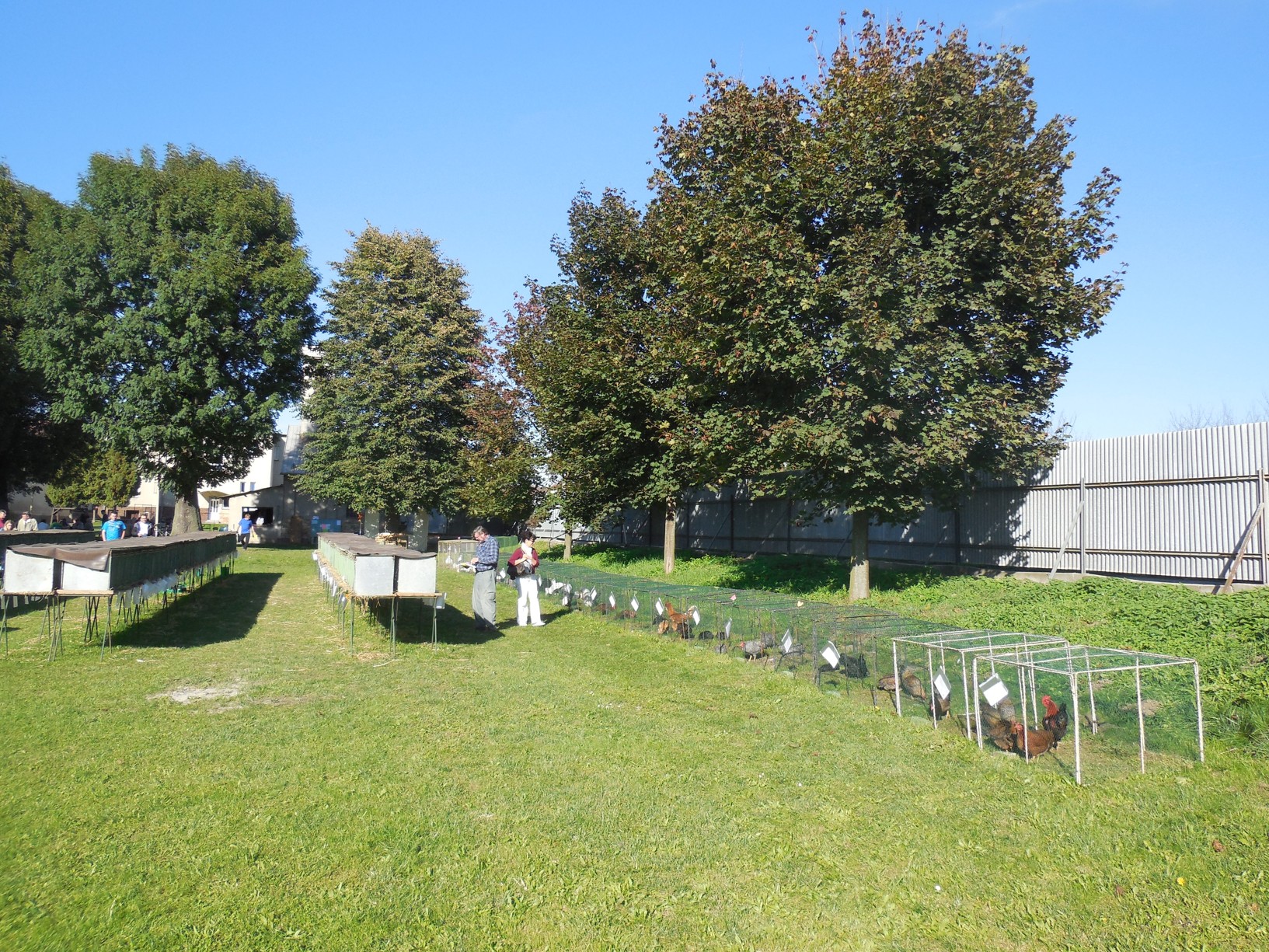 DSCN8723